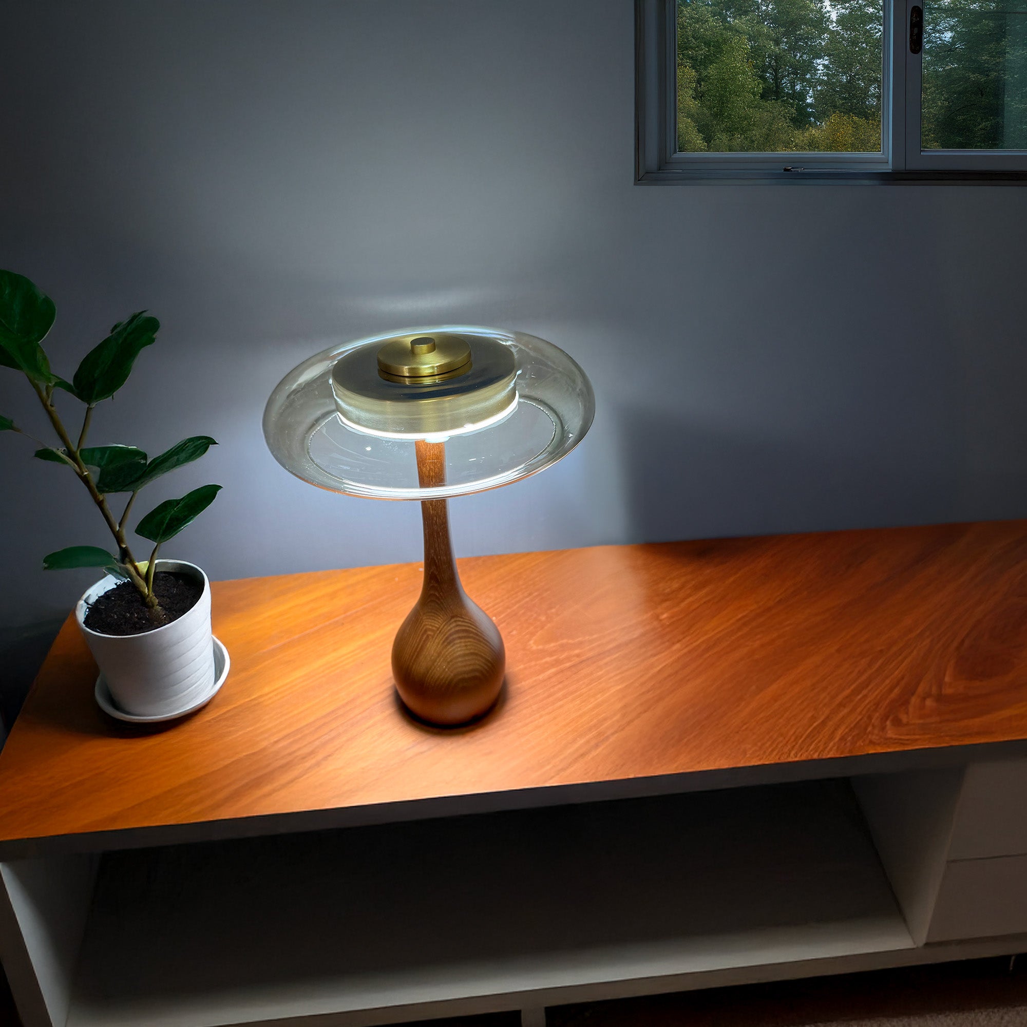 Franko Modern LED Wood Table Lamp - Dimmable