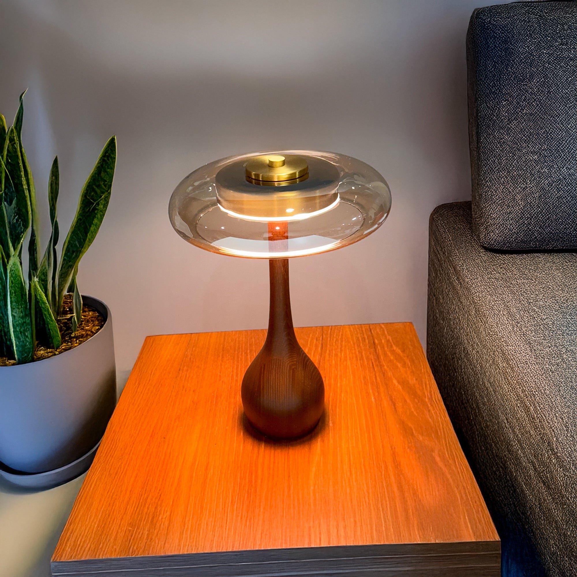 Franko Modern LED Wood Table Lamp - Dimmable